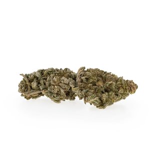 Acapulco Gold 250g klein